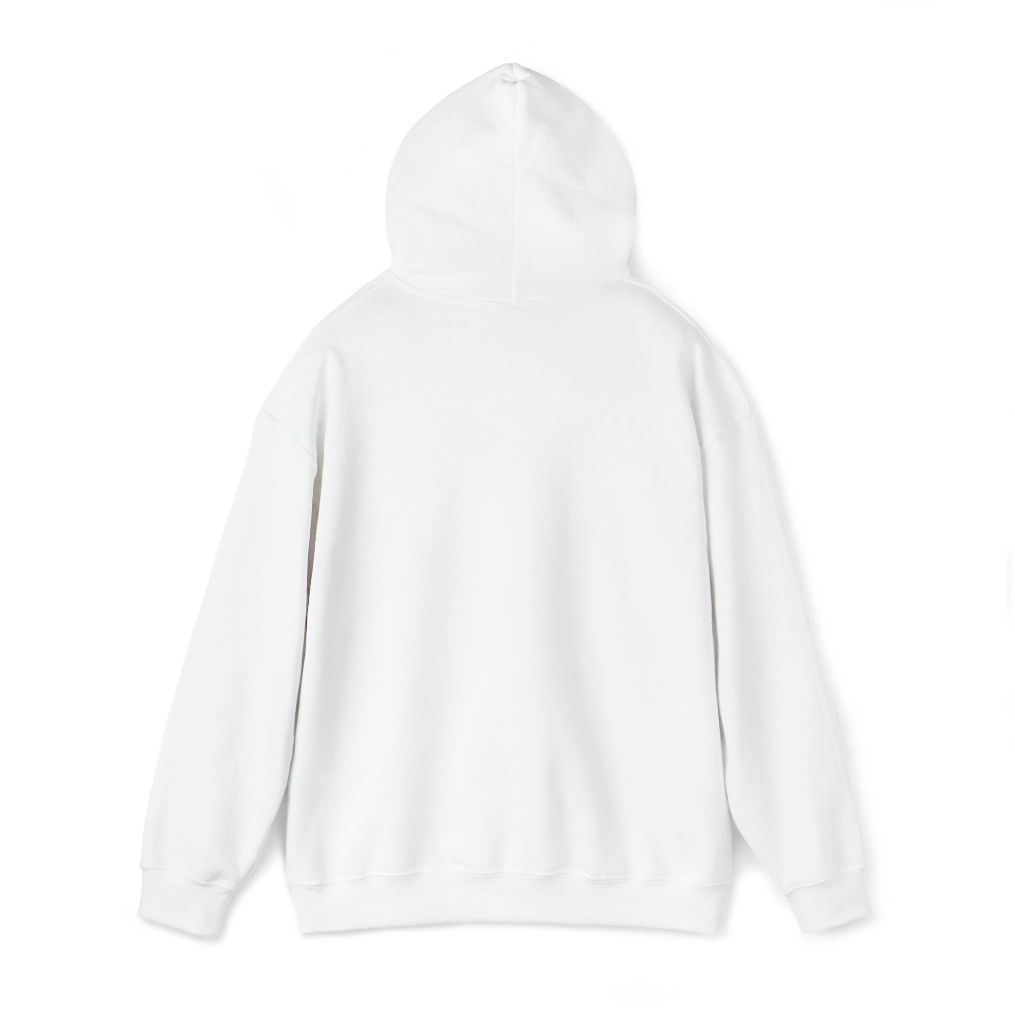 Ally Hoodie