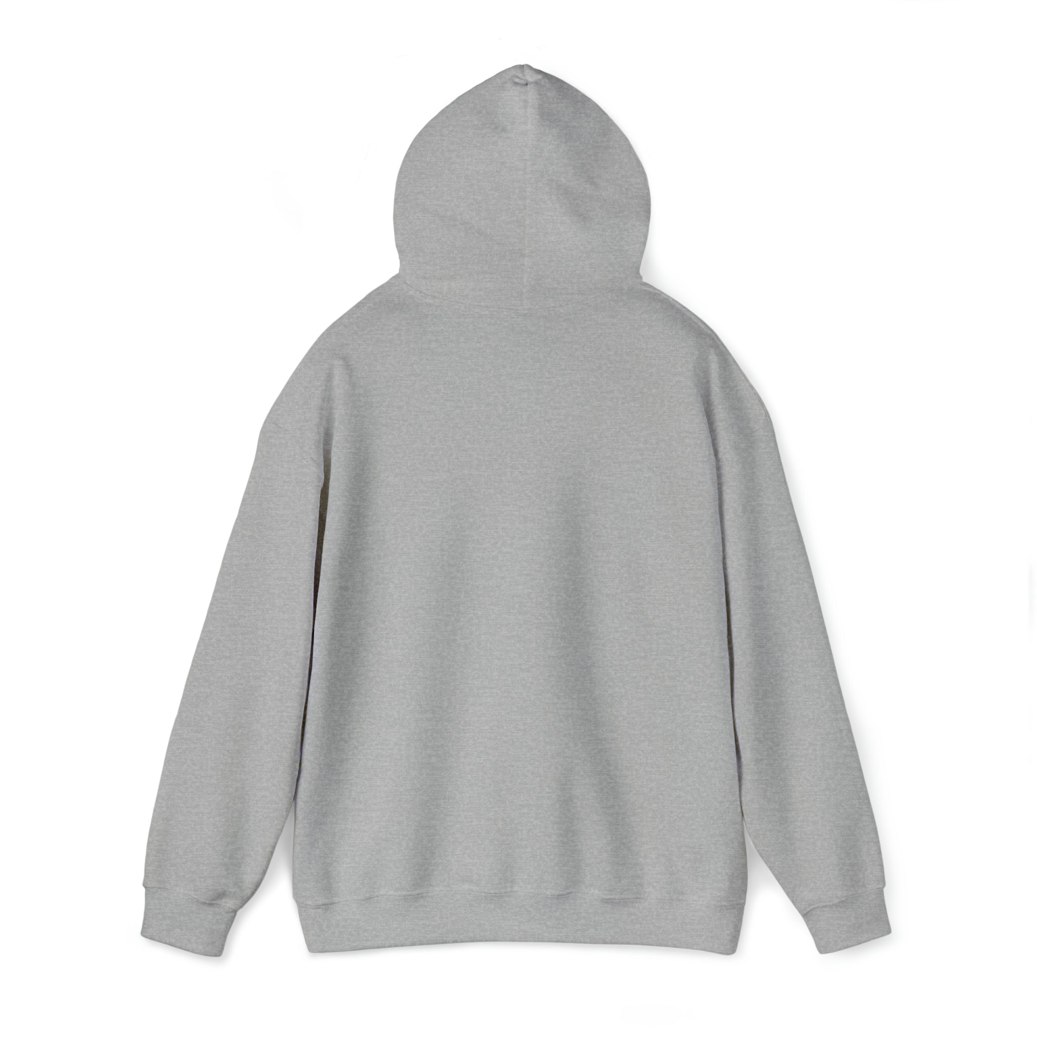 Ally Hoodie